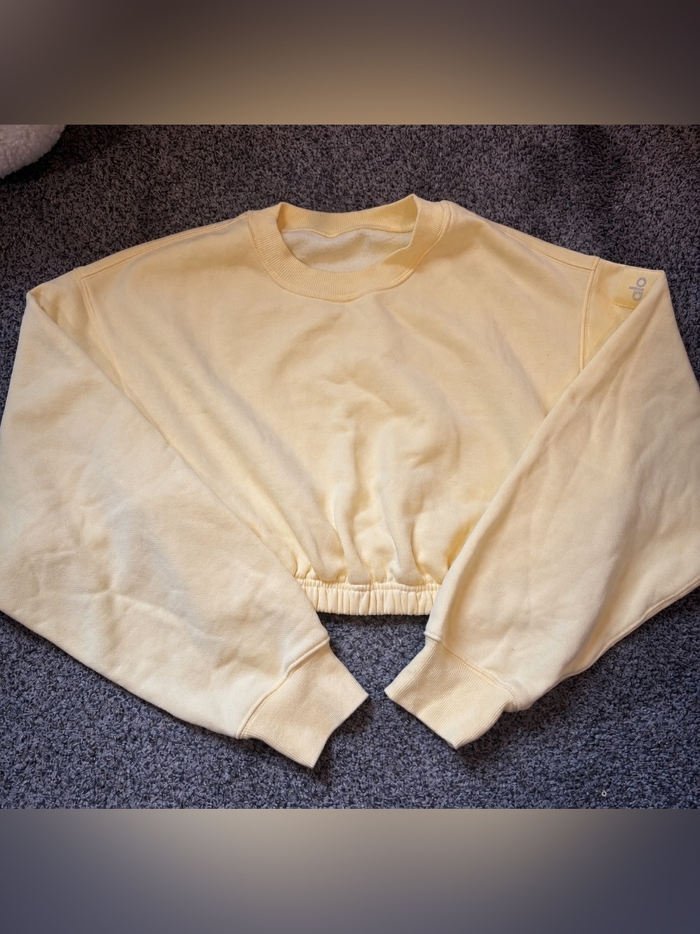 Alo Yoga Cropped Crewneck